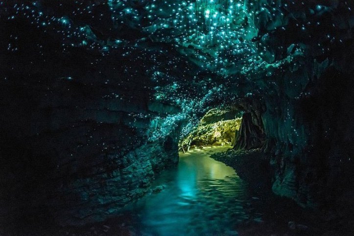 waitomo-glowworm-caves-north-island-new-zealand