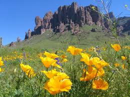 superstition mountain